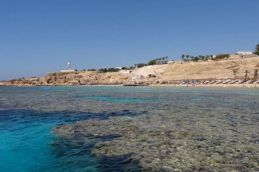 Погода в Шарм-эль-Шейхе в мае