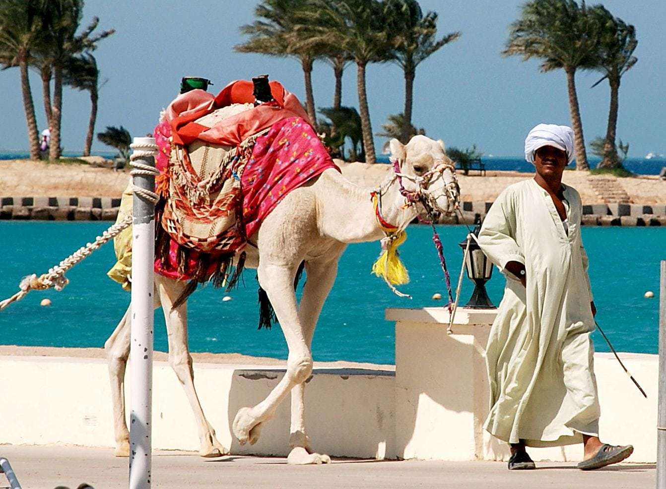 Египет - туры, Киев