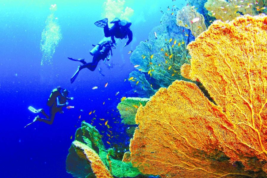 Хургада: дайвинг в море Египта