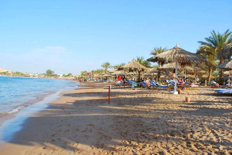 Погода в Шарме