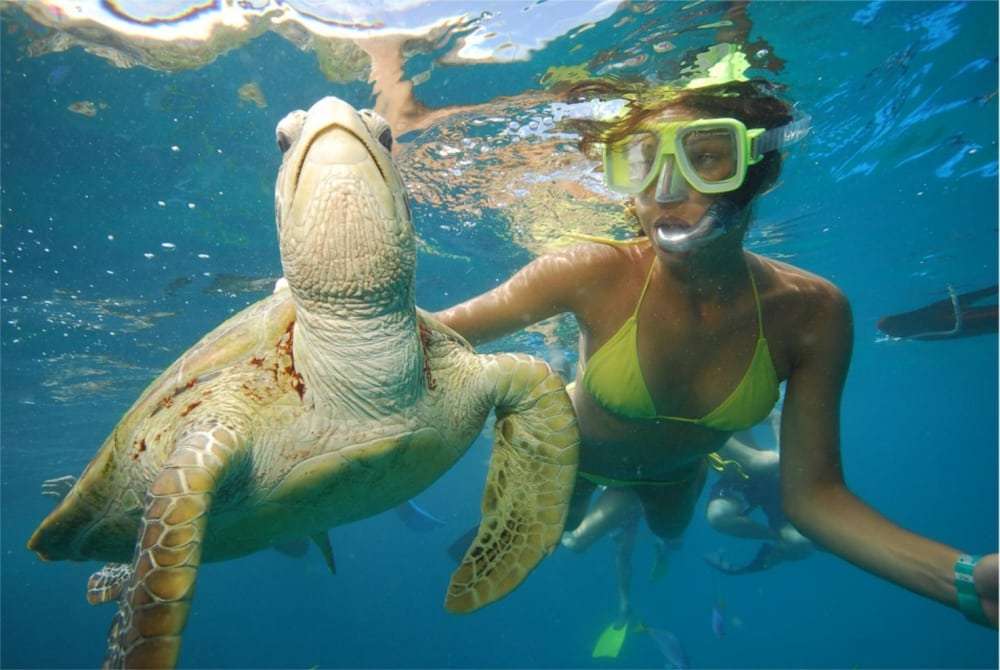 Снорклинг - это...