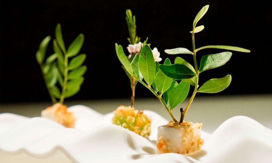 Андорра - отдых, цены