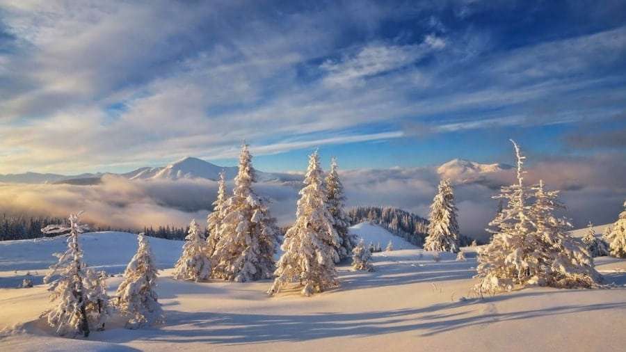 Автобус Одесса-София, Болгария