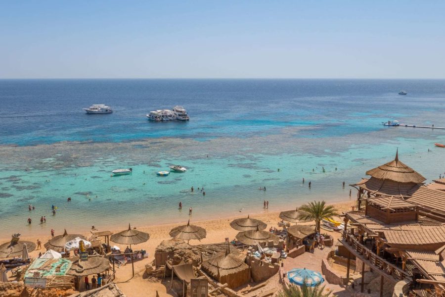 Авторский тур в Египет