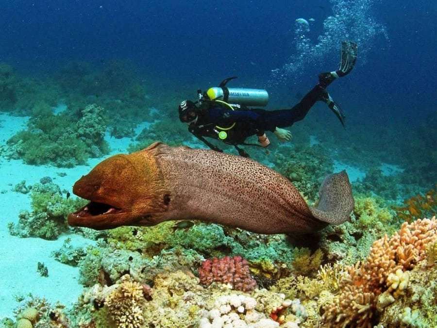 Горящие путевки в Египет из Днепропетровска