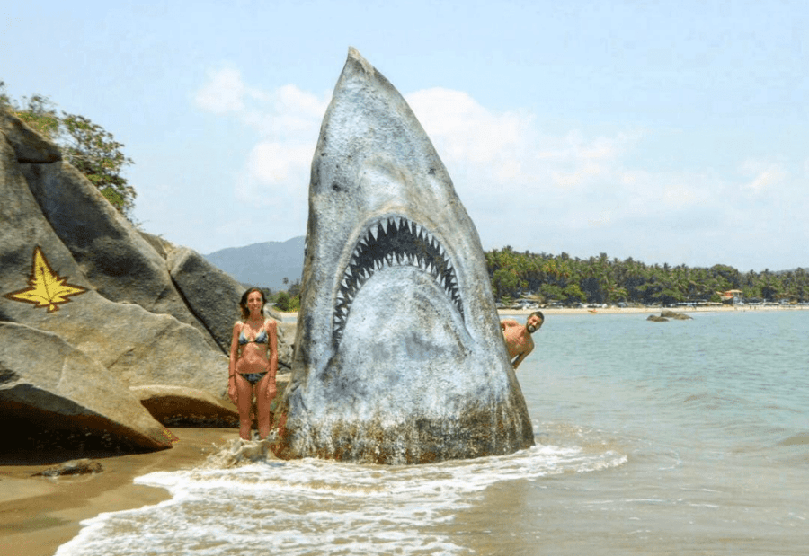 Горящие туры, Индия