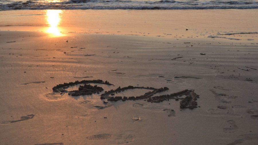 Горящие туры на Гоа