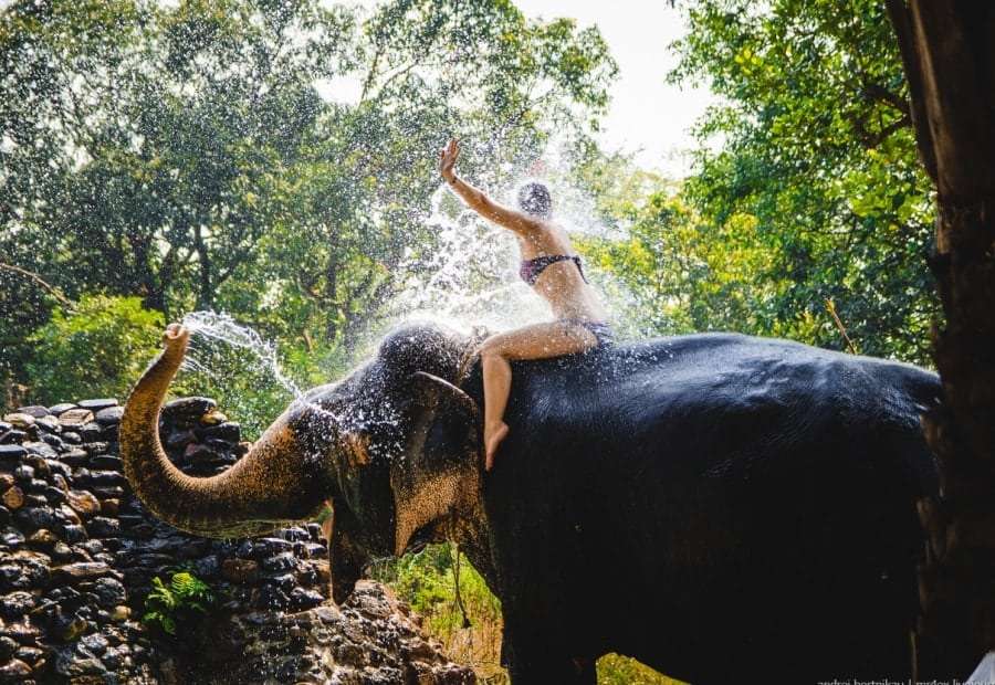 Горящие туры в Индию, Гоа