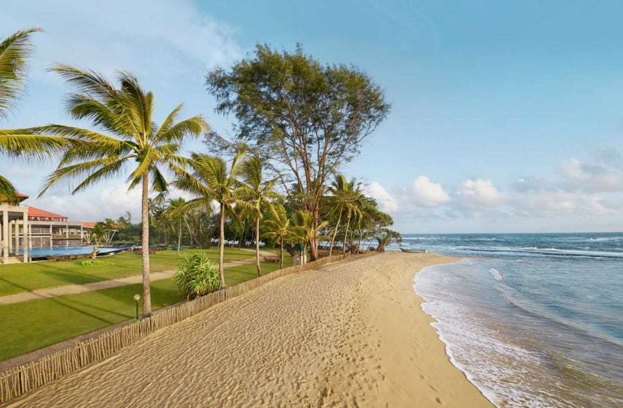 Горящие туры в Шри-Ланку из Харькова