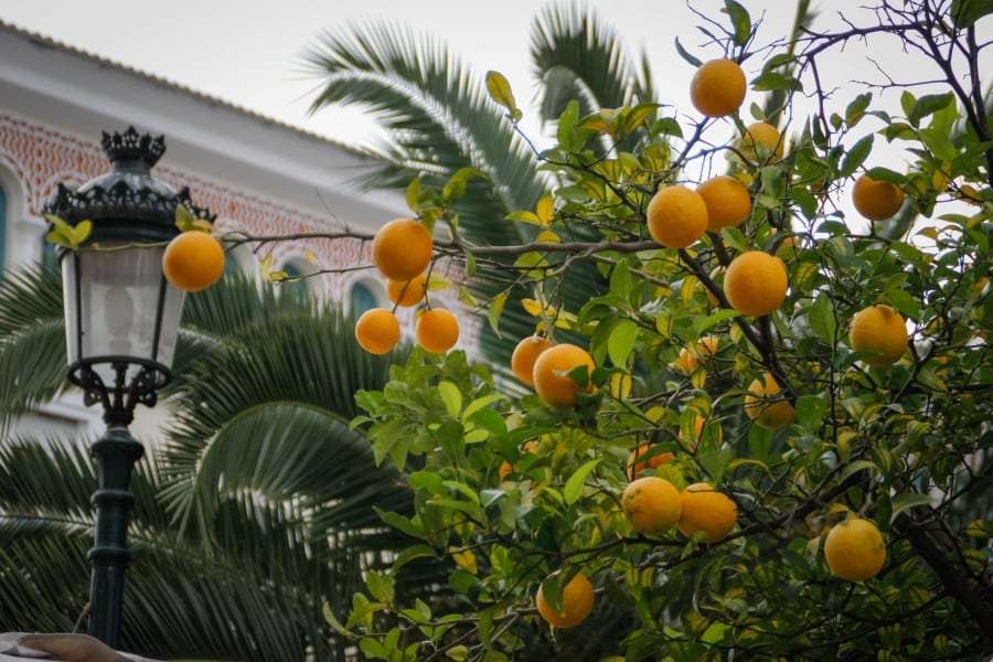 Греция из Киева