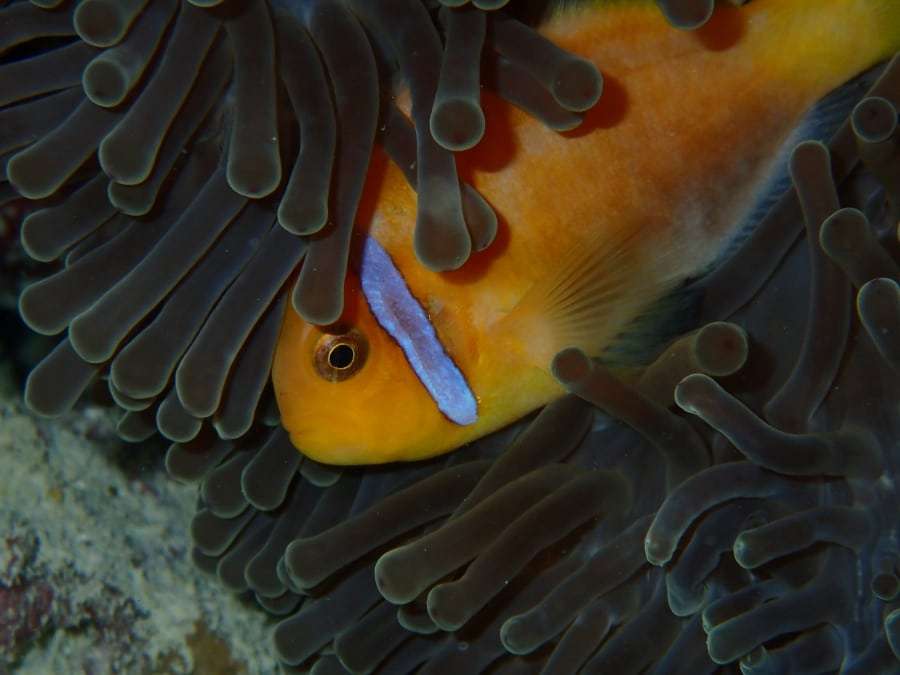 Харьков - Мальдивы
