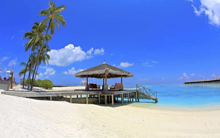 Мальдивы - путевка