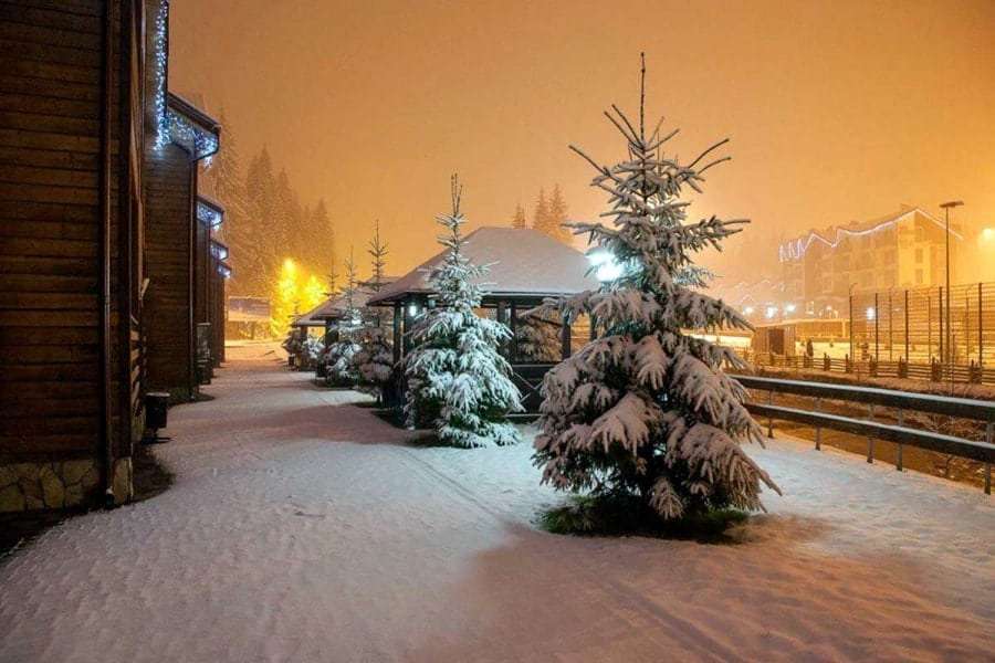 Новый год в Закарпатье