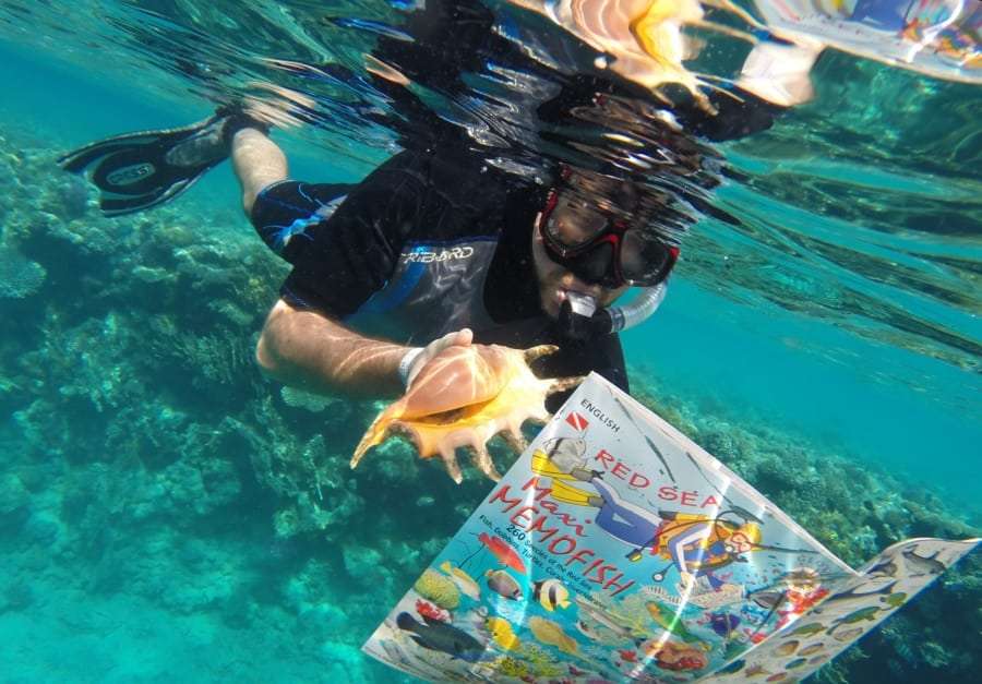 Погружение в Красное море