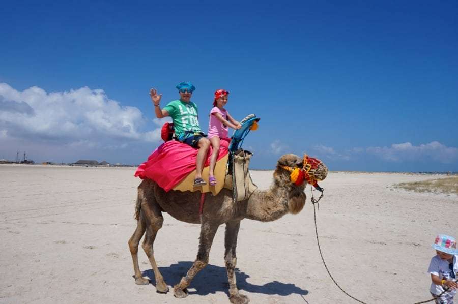 Сколько лететь из Харькова в Тунис