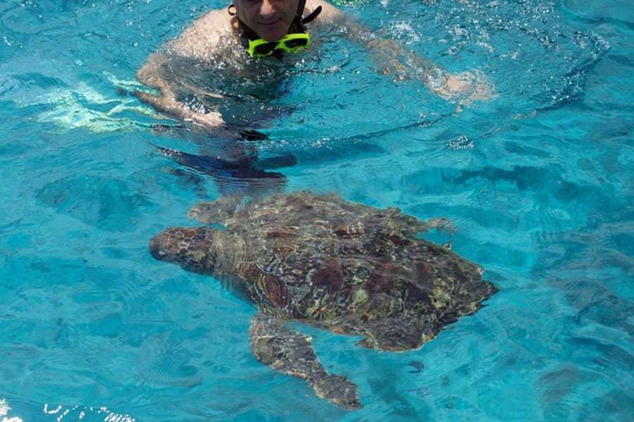 Тайланд из Харькова