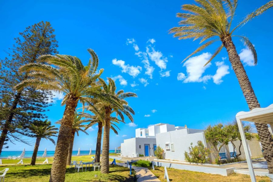 Тунис из Харькова