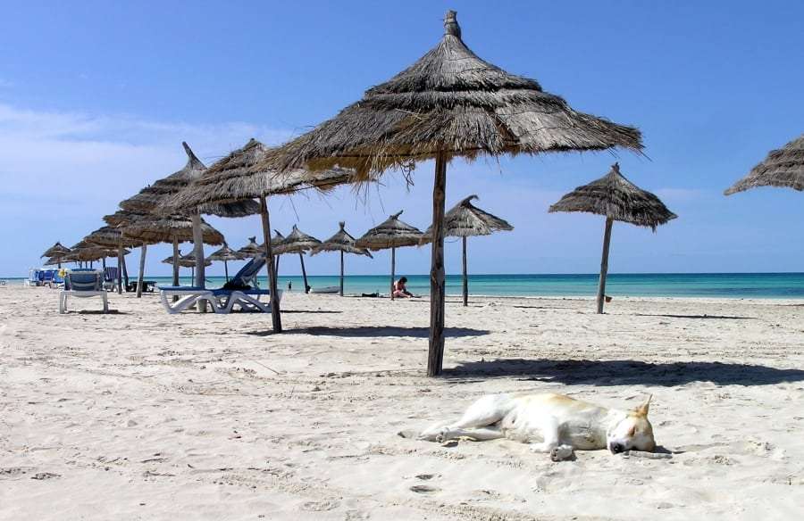 Туры в Тунис: цена