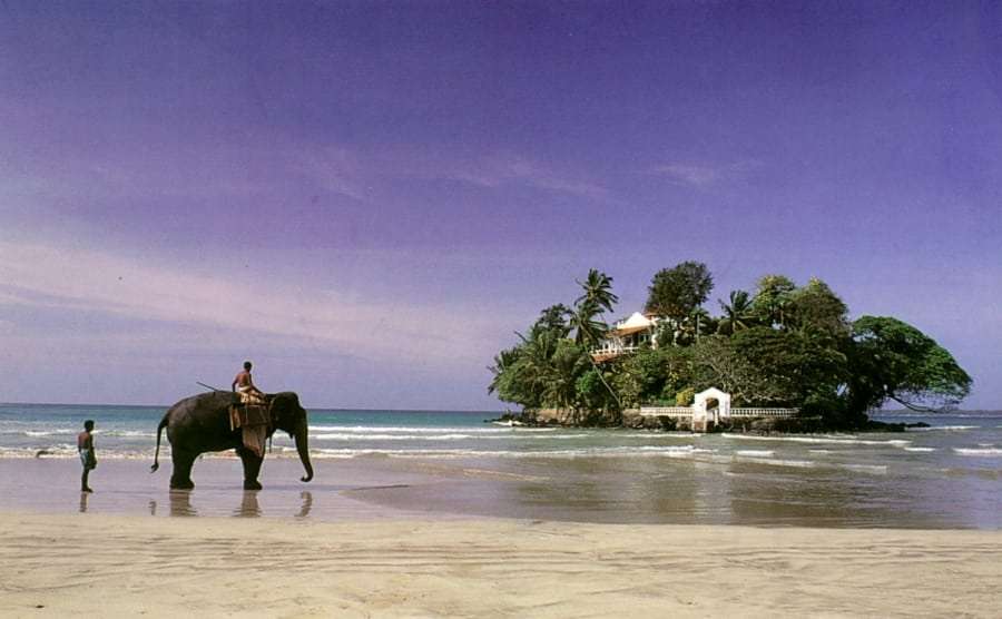 Туры в Шри-Ланку из Украины