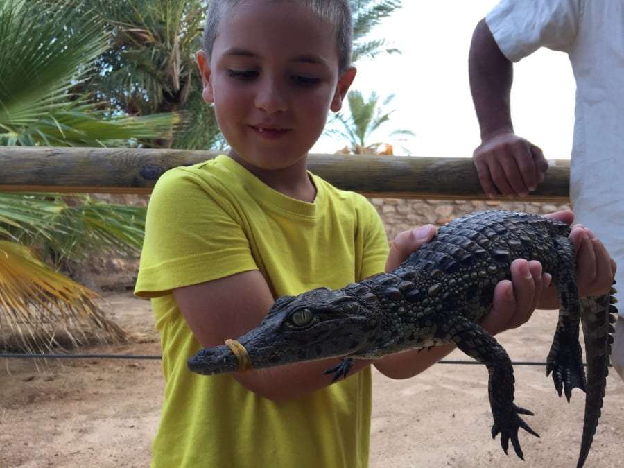 Туры в Тунис из Харькова