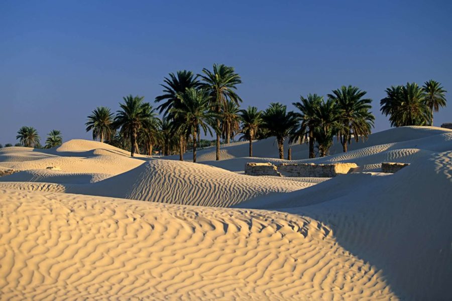 Туры в Тунис