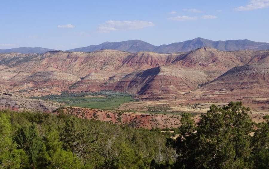 Туры в Тунис - Украина