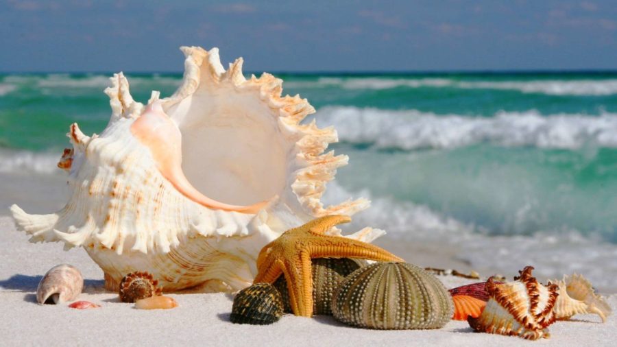 Авиабилеты Киев Пхукет