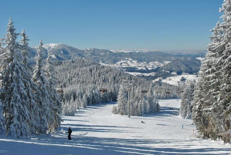 Болгария из Днепропетровска