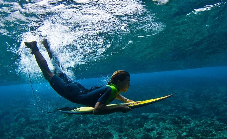 Болгария из Запорожья автобусом