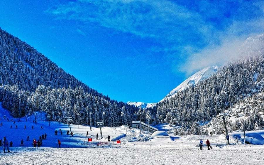 Болгария из Запорожья