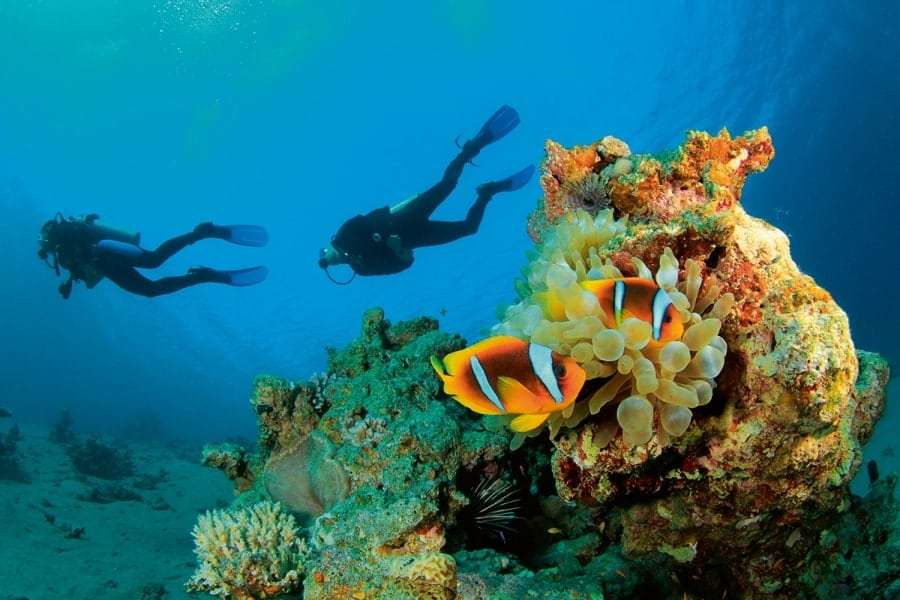 Дахаб, курорт