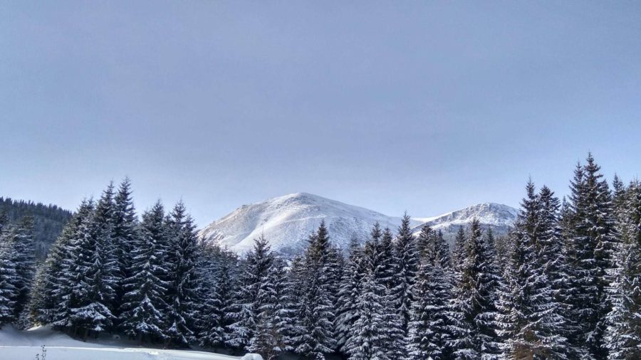 Драгобрат на карте