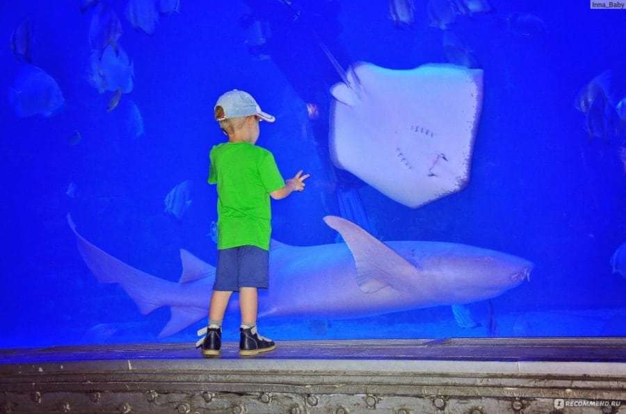 Египет, Хургада: отдых с детьми