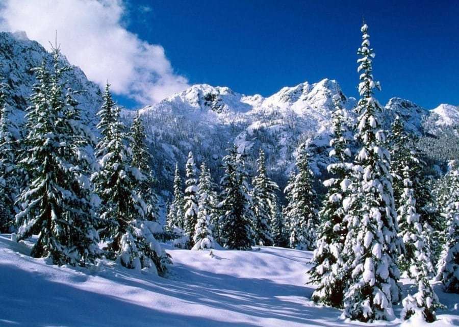 Горнолыжные туры в Буковель