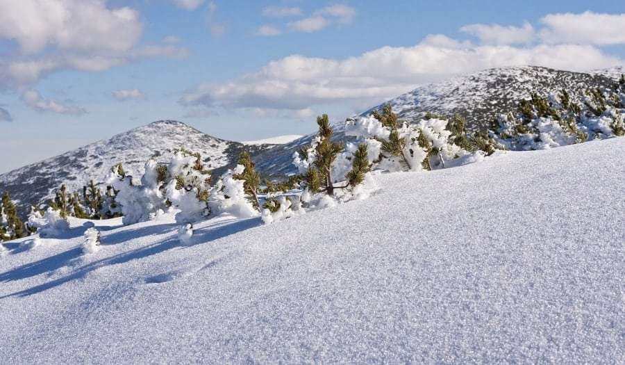 Горящие туры в Болгарию - Запорожье