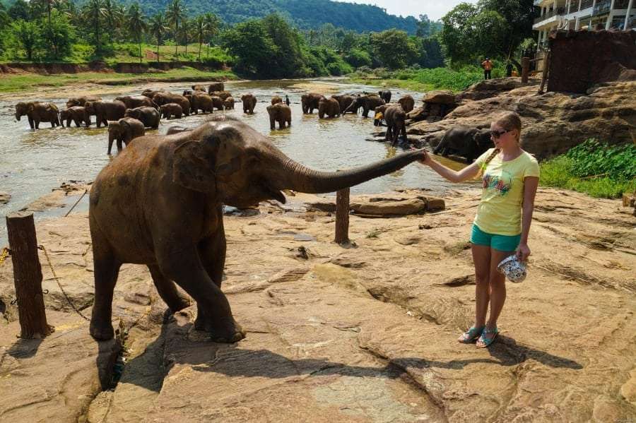 Горящие туры в Шри-Ланку из Одессы