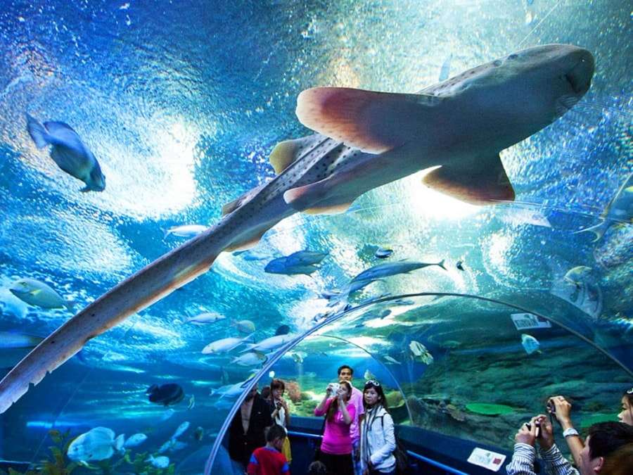 Хургада - достопримечательности города