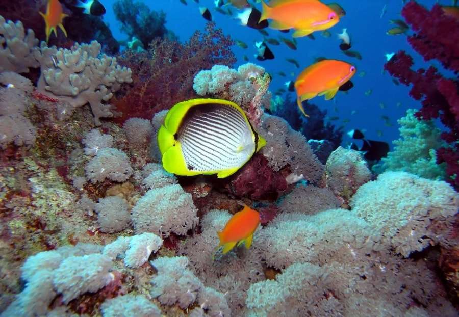 Хургада: горящие туры, Киев