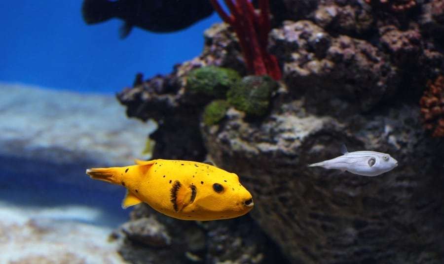 Хургада в октябре