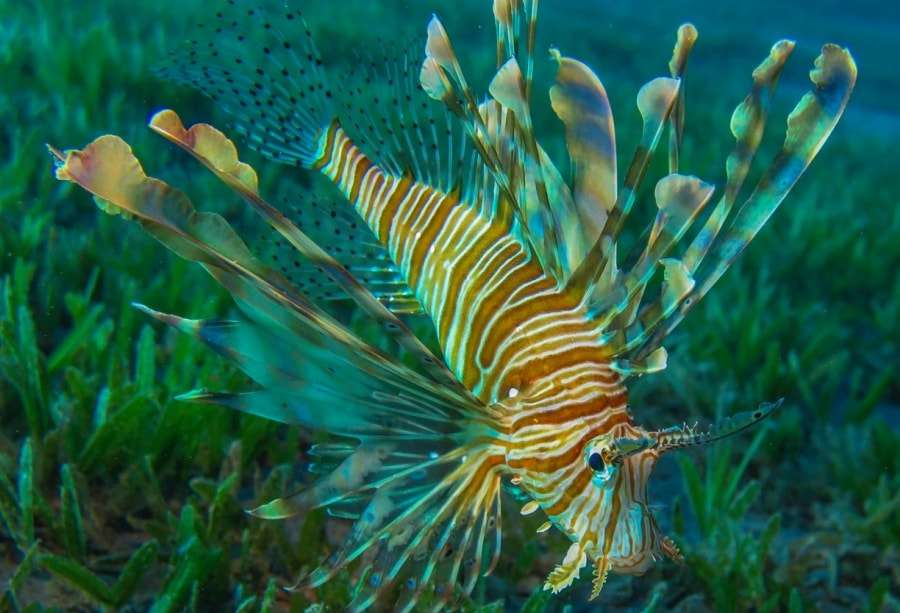 Хургада - время