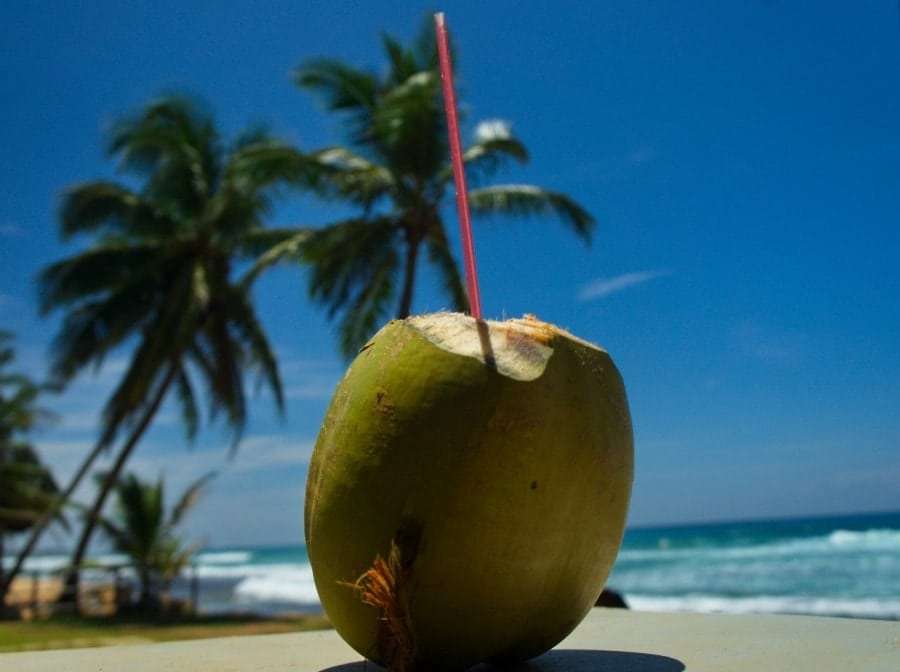 Одесса - Шри-Ланка: перелет