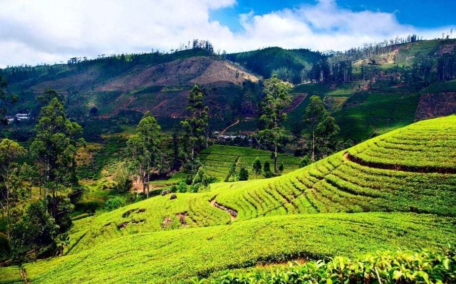 Перелет Киев - Шри-Ланка