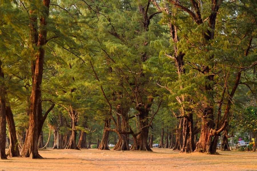 Пхукет: достопримечательности на карте