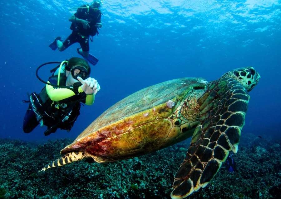 Погода на островах Тайланда