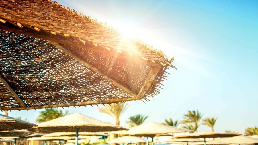 Погода в Египте в июне