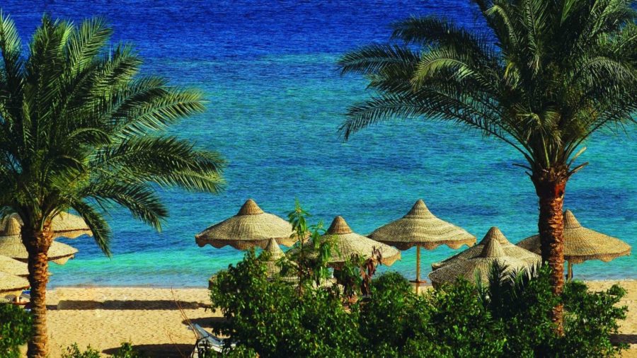 Погода в Египте в сентябре﻿