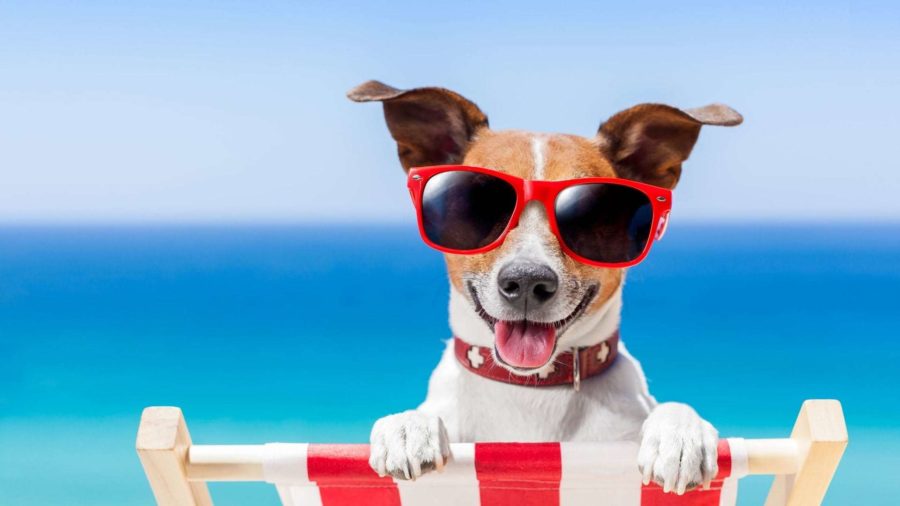 Погода в Хургаде в сентябре