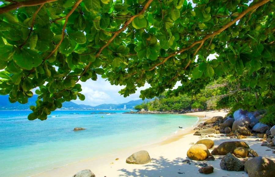 Погода в Тайланде в январе-месяце