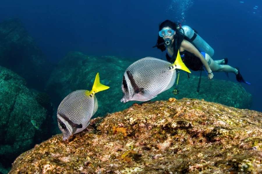 Путевки в Египет: Хургада