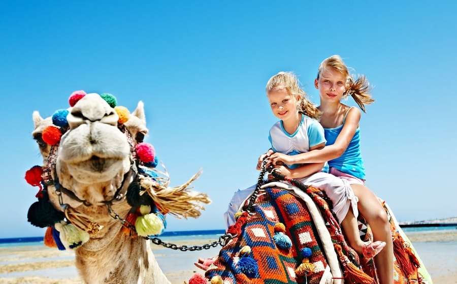 Расстояние от Хургады до Шарм-эль-Шейха